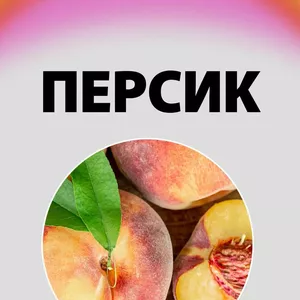 Саджанці персику інжирного Саджанці персику інжирного