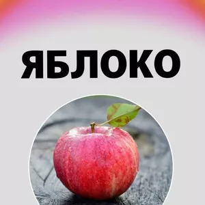 Саджанці яблуні Саджанці яблуні