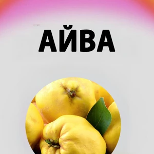 Саджанці айви Саджанці айви