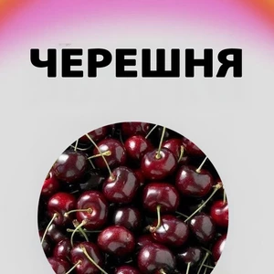Саджанці черешні Саджанці черешні