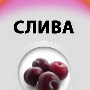 Саджанці слив Саджанці слив