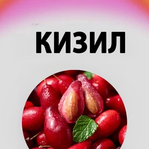 Саджанці кизилу Саджанці кизилу